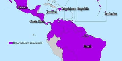 Kort over jamaica zika